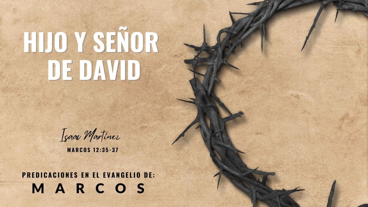 Hijo y Señor de David.
